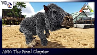 Breeding Boss Megatheriums ARK HARDCORE  ARK The Final Chapter 31 [upl. by Anielram249]