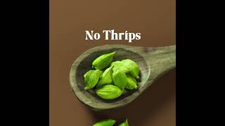 How to identify Good Cradamom  Kokko Fresh Cardamom  Kerala Green Cardamom [upl. by Nnorahs]