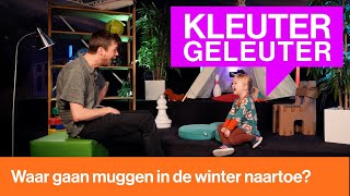 Waar gaan muggen in de winter naartoe  Kleutergeleuter [upl. by Stacia811]