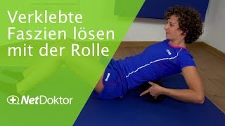 Faszientraining Verklebte Faszien lösen mit der Rolle  NetDoktorde [upl. by Llezo339]