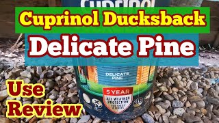 Cuprinol Ducksback Delicate Pine Fence and Shed Paint Use Review Colour Fidelity [upl. by Suiravat]