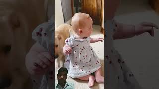 Dog Gets A little overexcited Around Beby cute dog funny shortsfeed shorts [upl. by Elaen]