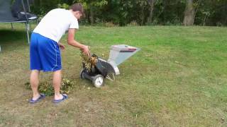 Craftsman 5HP Chipper Shredder [upl. by Millisent]