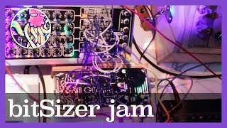 bitSizer Jam w bitRanger Minisizer Modular Synth MicroGranny amp more  TTNM [upl. by Vick]