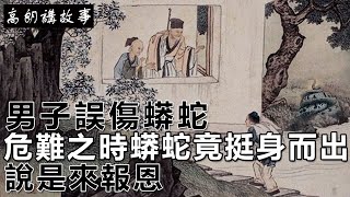 民間故事：男子誤傷蟒蛇，危難之時蟒蛇竟挺身而出，說是來報恩｜高朗講故事 [upl. by Isbel955]