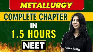 METALLURGY in 15 Hours  Complete Chapter for NEET [upl. by Fraser]