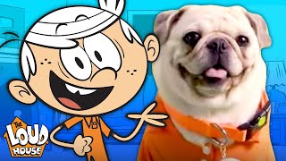 The Pugs amp Louds Team Up for an Opening Theme Song 🎵  The Loud House [upl. by Nolte450]