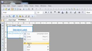 How to Print Barcode Labels with Excel Data  TFORMer Designer [upl. by Enaud674]