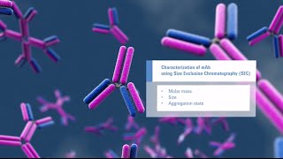 Reproducible Protein Sizing and Aggregation Studies How it works [upl. by Yard907]