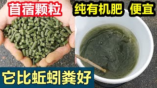 Cheap Organic Fertilizer Alfalfa Pellets 火爆全网的天然有机肥 苜蓿颗粒 可以用一整年 [upl. by Verla]