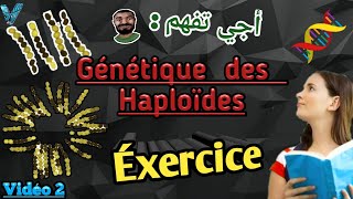 Vidéo 2 Génétique des Haploïdes en Arabe SVI S4 Exercice facile et important [upl. by Kayley]