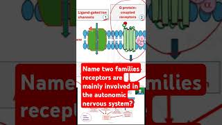 Name two families receptors are mainly involved in the autonomic nervous system [upl. by Amandie]