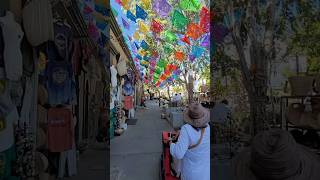 San Jose del Cabo street life [upl. by Anoid]