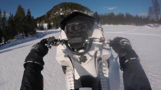 2011 SkiDoo Freeride 800ETEC  Wheelie time [upl. by Albur]