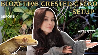 I UPGRADED My Crested Gecko Enclosure  BIOACTIVE SETUP [upl. by Arturo]