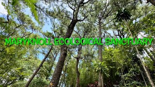 Maryknoll Ecological Sanctuary  Baguio City [upl. by Areyk]