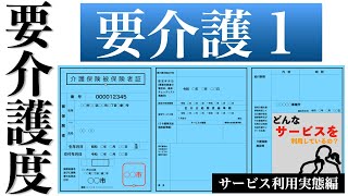 要介護1サービス利用実態編どんなサービスを利用しているか？ [upl. by Pronty]