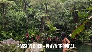 Passion Coco  Playa Tropical  Latin Beats [upl. by Skipton]