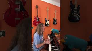 QUESTION by THE MOODY BLUES scottchasolen pianocover coversong pianist singersongwriter [upl. by Andaira]