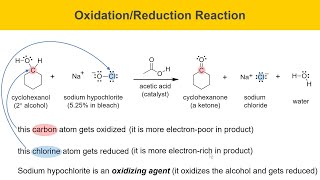 Green Oxidation of Cyclohexanol Experiment Part 1 Prelab [upl. by Nevile]