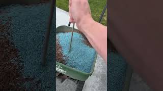 Reseeding my lawn after sand leveling pt 6 lawn diy [upl. by Thier]