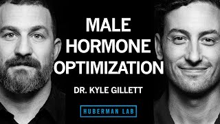 Dr Kyle Gillett Tools for Hormone Optimization in Males  Huberman Lab Podcast 102 [upl. by Lothario423]