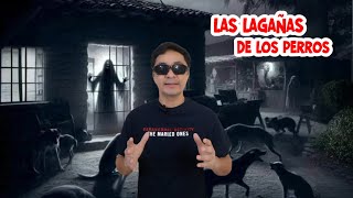 Las lagañas de los perros 💀 paranormal scary horrorstory leyendasurbanas [upl. by Dubenko]