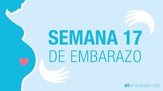 Semana 17 de embarazo  17 semanas de embarazo  El embarazo semana a semana [upl. by Avika]