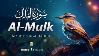 Worlds most beautiful recitation of Surah MULK The Kingdom سورة الملك  Zikrullah TV [upl. by Ado]