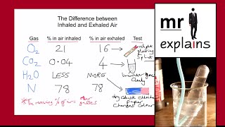 mr i explains The Difference between Inhaled and Exhaled Air [upl. by Hartwell]