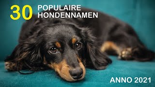 30 populaire hondennamen anno 2021 [upl. by Ycnuahc258]