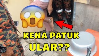 SIAPA KENA PATUK ULAR TULEPAS KHIDMAT KHAS ULAR LAYAN API BELUKAR  TERBAIKLA ABANG ABANG BOMBA [upl. by Milurd278]