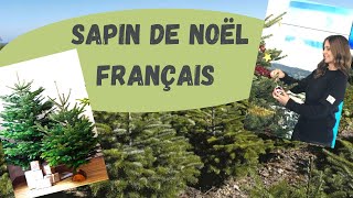 SAPIN DE NOËL FRANÇAIS sapindenoel [upl. by Delmore]