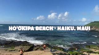 Hookipa Beach North Shore Maui  Best Place to See Turtles on Maui [upl. by Pachton]