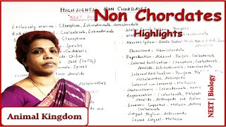 Non Chordates  Highlights  NEET Point of View  Animal Kingdom  Class 11 NCERT  NEET Biology [upl. by Ema885]