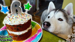 How to Make a FunFetti Birthday Cake For Dogs  DIY Dog Treats Recipe 116 [upl. by Ocsirf]