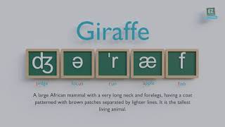 How to pronounce Giraffe [upl. by Ziagos]