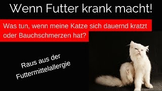 Allergie bei Katzen 🔎 Erkennen amp Helfen ◀◀◀ Kurs [upl. by Landes]