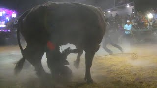 LLEGO LA TRAGEDIA AL JARIPEO  RANCHO LA HERENCIA EN XALPATLAHUAC GUERRERO 2024 [upl. by Iliram]