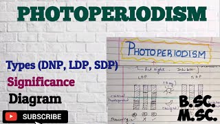 Photoperiodism Types Significance LDP SDP and DNP Photoperiodism BSc MSc Plant physiology [upl. by Adnale]