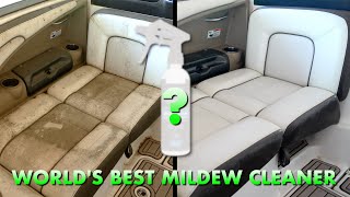 Worlds BEST Mildew Cleaner for Boaters  Before amp After [upl. by Nohtanhoj]