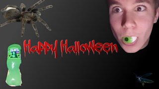 HalloweenSpecial Schockmomente amp Süßigkeiten im Test 🍬😱 [upl. by Hearsh]