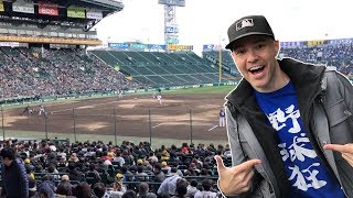 My first Japanese baseball game  Hanshin Tigers vs Seibu Lions at Koshien Stadium [upl. by Margeaux]