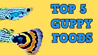 GUPPY Top 5 FOODS [upl. by Assilav363]