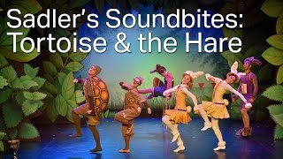 Northern Ballet  Tortoise amp the Hare Sadlers Soundbites [upl. by Ia183]