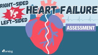 Heart Failure Right Sided vs Left Sided Assessment [upl. by Droflim394]