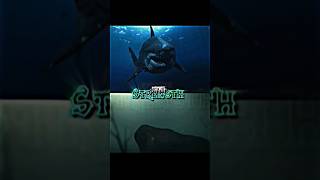 Otodus Megalodon Vs Titanoboa  Deinosuchus Vs Sarcosuchus  edit debate animal megalodon vs [upl. by Einnek]