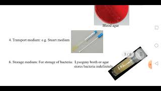 Bacterial Culture Media amp Growth Curve [upl. by Gaelan]