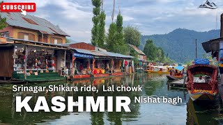 Srinagar  Heart of Kashmir Full Guide  Shikara Lal Chowk shankaracharya Temple kashmir vlog [upl. by Ellennahs]