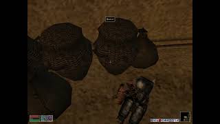 Morrowind Perfect Character Episode 397 Gnisis equipment storage [upl. by Eidualc]